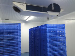 copiadeimg 4484 scaled